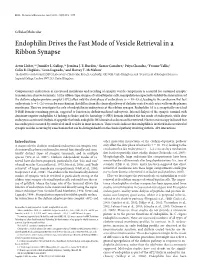 Endophilin Drives the Fast Mode of Vesicle Retrieval in a Ribbon Synapse