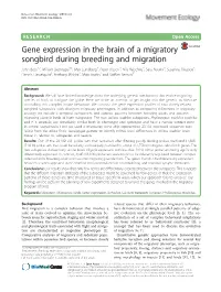 Gene Expression in the Brain of a Migratory Songbird During Breeding and Migration