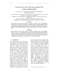 Protein Interactors of the Cellular Tumor Antigen P53 with Response to Ionizing Radiation