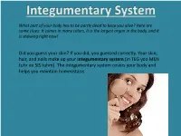 Integumentary System Slideshow