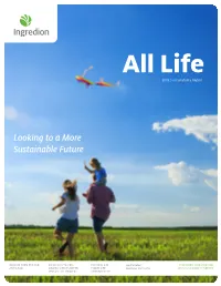Looking to a More Sustainable Future