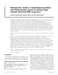 Phylogenetic Studies of Saprolegniomycetidae and Related Groups Based on Nuclear Large Subunit Ribosomal DNA Sequences