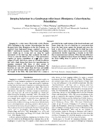 Jumping Behaviour in a Gondwanan Relict Insect (Hemiptera