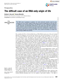 The Difficult Case of an RNA-Only Origin of Life