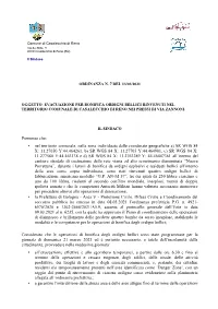 Nel Territorio Comunale, Nella Zona Individuata Dalle Coordinate