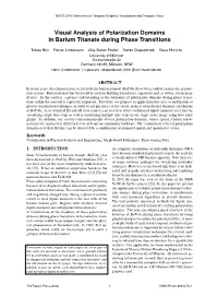 Visual Analysis of Polarization Domains in Barium Titanate During Phase Transitions