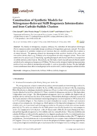 Construction of Synthetic Models for Nitrogenase-Relevant Nifb Biogenesis Intermediates and Iron-Carbide-Sulﬁde Clusters