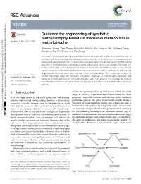 View PDF Version