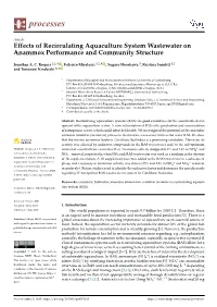 Effects of Recirculating Aquaculture System Wastewater on Anammox Performance and Community Structure