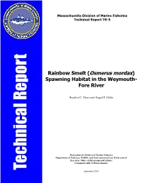 (Osmerus Mordax) Spawning Habitat in the Weymouth- Fore River