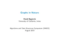 Graphs in Nature