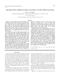 Sideways Vision and Spiral Flight Paths in Raptors