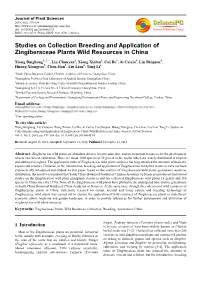 Studies on Collection Breeding and Application of Zingiberaceae Plants Wild Resources in China