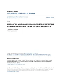 Modulating Male Aggression and Courtship: Detecting External Pheromonal and Nutritional Information