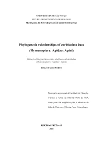 Phylogenetic Relationships of Corbiculate Bees (Hymenoptera: Apidae: Apini)