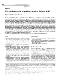 Roles of Bid and XIAP