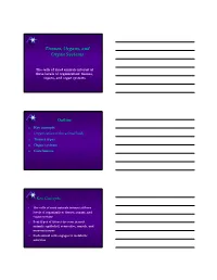 Tissues, Organs, and Organ Systems