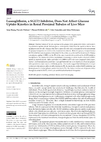 Luseogliflozin, a SGLT2 Inhibitor, Does Not Affect Glucose Uptake