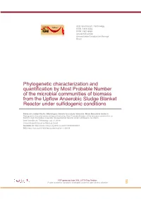 Phylogenetic Characterization and Quantification by Most Probable Number of the Microbial Communities of Biomass from the Upflow