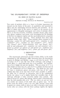Effort to Obtain Data of This Nature in Regard to the Process of Eye of The