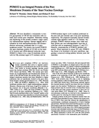 POM152 Is an Integral Protein of the Pore Membrane Domain of the Yeast Nuclear Envelope