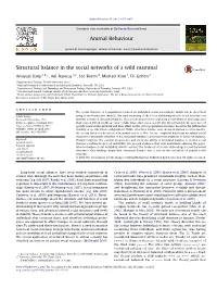 Structural Balance in the Social Networks of a Wild Mammal