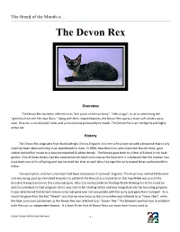 The Devon Rex