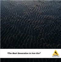 “The Next Generation in Iron Ore”