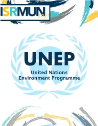 UNEP Background Paper
