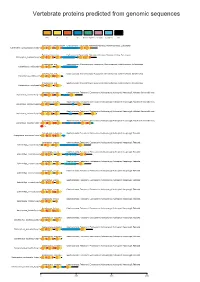 Vertebrate Proteins Predicted from Genomic Sequences