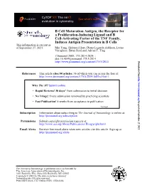 Induces Antigen Presentation in B Cells Cell-Activating Factor of The