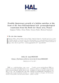 Possible Quaternary Growth of a Hidden Anticline at The