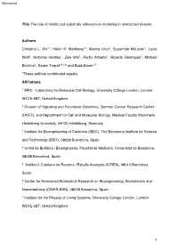 1 Title the Role of Mitotic Cell-Substrate Adhesion Re