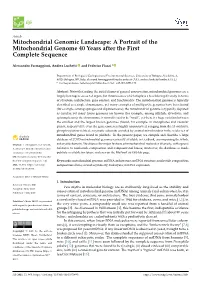 A Portrait of the Mitochondrial Genome 40 Years After the First Complete Sequence