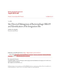 Site Directed Mutagensis of Bacteriophage HK639 and Identification of Its Integration Site Madhuri Jonnalagadda Western Kentucky University