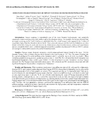 Structure Characterization of Impact Natural Diamond from Popigai Crater