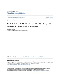 The Colonization of a Multi-Functional Artificial Reef Designed for the American Lobster, Homarus Americanus