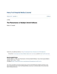 The Phenomenon of Multiple Stretch Reflexes