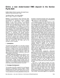 Elvira: a New Shale-Hosted VMS Deposit in the Iberian Pyrite Belt