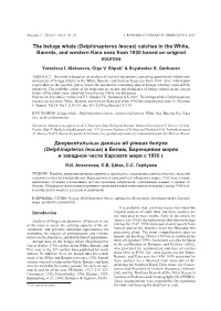 The Beluga Whale (Delphinapterus Leucas) Catches in the White, Barents, and Western Kara Seas from 1930 Based on Original Sources