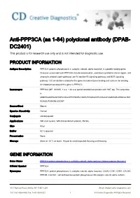 Anti-PPP3CA (Aa 1-84) Polyclonal Antibody (DPAB- DC2401) This Product Is for Research Use Only and Is Not Intended for Diagnostic Use