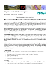 Epigenetics and Cellular Microbiology Lab