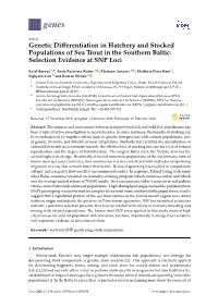 Genetic Differentiation in Hatchery and Stocked Populations of Sea