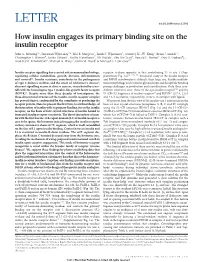 How Insulin Engages Its Primary Binding Site on the Insulin Receptor