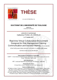 Real-Time Virtual Collaborative Environment Designed for Risk