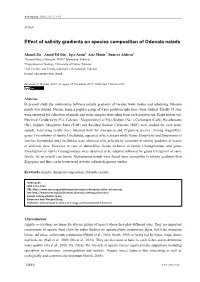 Effect of Salinity Gradients on Species Composition of Odonata Naiads