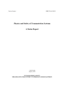 Physics and Safety of Transmutation Systems a Status Report