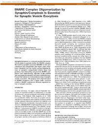 SNARE Complex Oligomerization by Synaphin/Complexin Is Essential for Synaptic Vesicle Exocytosis