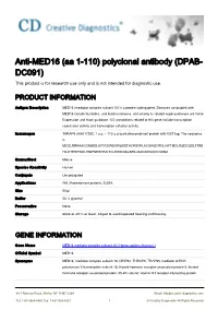 Anti-MED16 (Aa 1-110) Polyclonal Antibody (DPAB- DC091) This Product Is for Research Use Only and Is Not Intended for Diagnostic Use