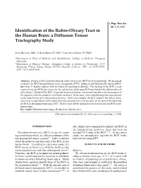 Identification of the Rubro-Olivary Tract in the Human Brain: a Diffusion Tensor Tractography Study